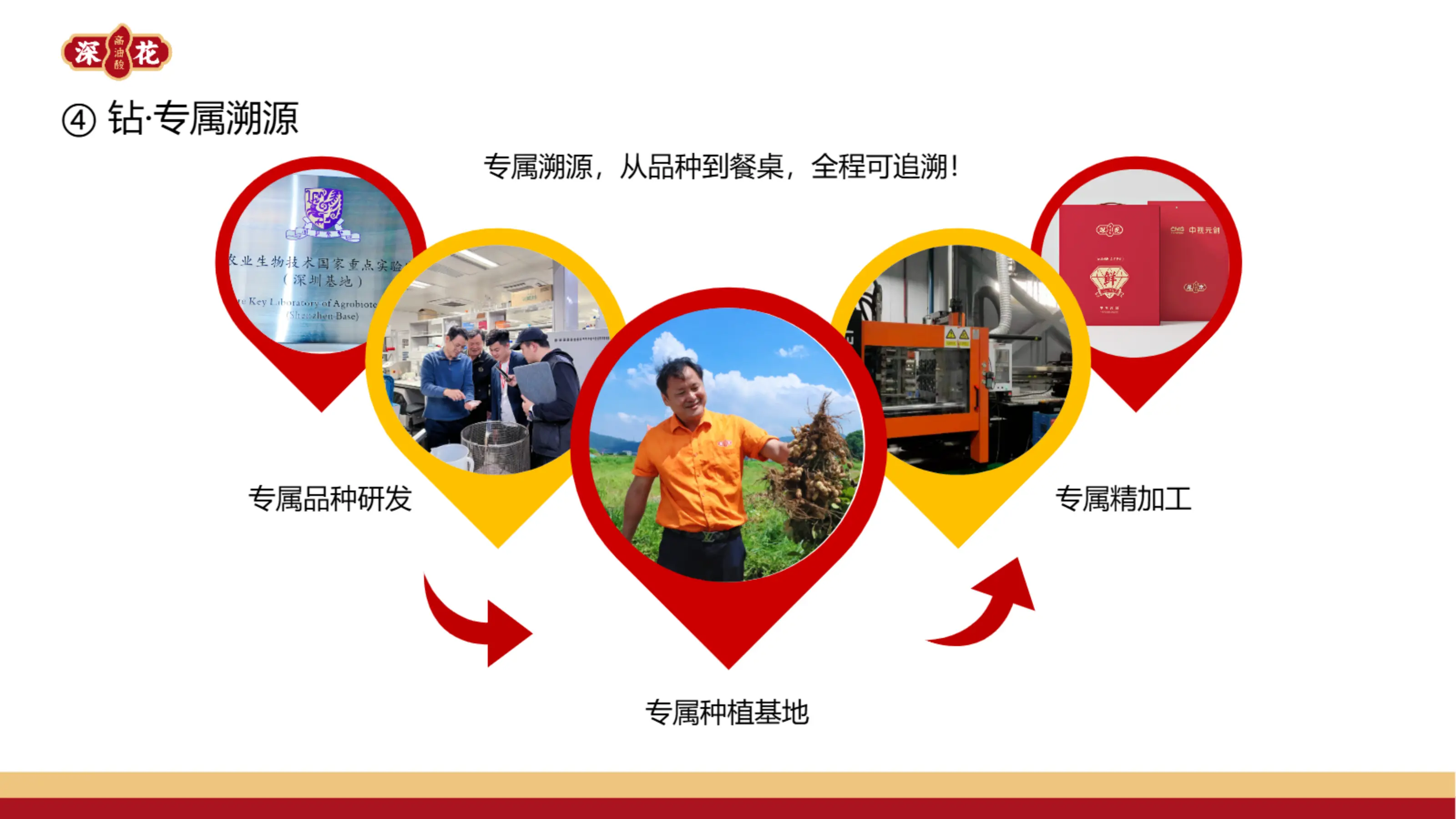 深花品牌介绍_15.webp
